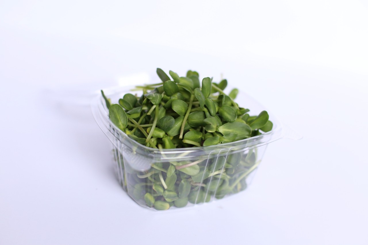 Sunflower Microgreens (4 oz)