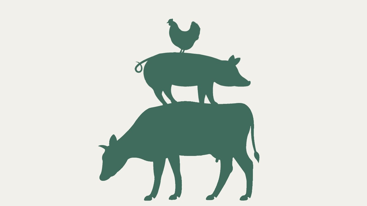 Meat